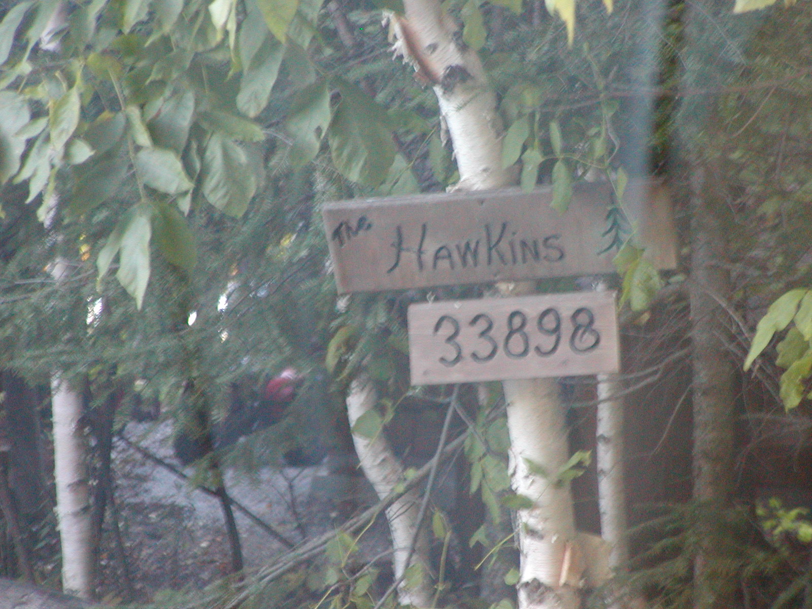 drummondislandhawkins