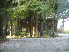 drummondislandhawkins2
