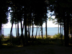 drummondislandschrams6
