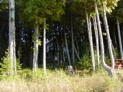 drummondislandschrams11