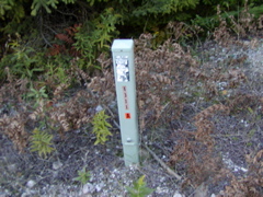 drummondislandschrams45