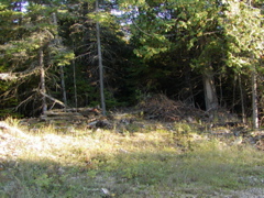 drummondislandschrams46