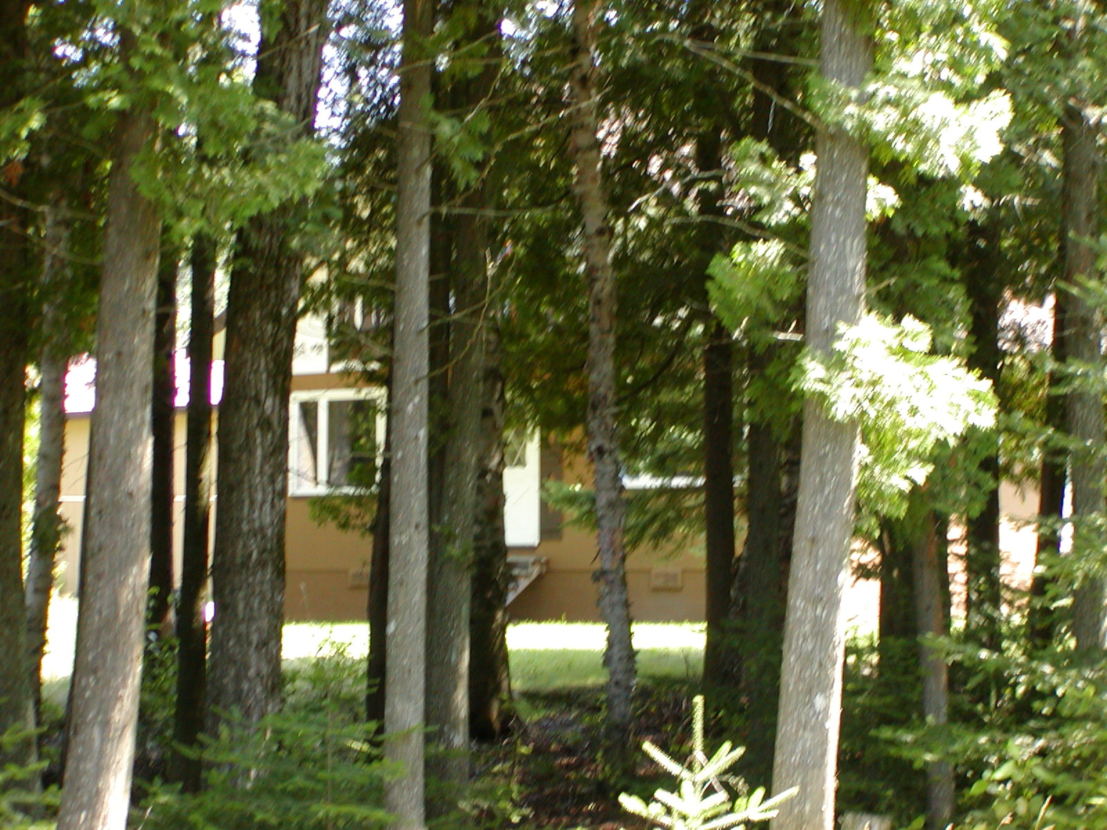 P1010036