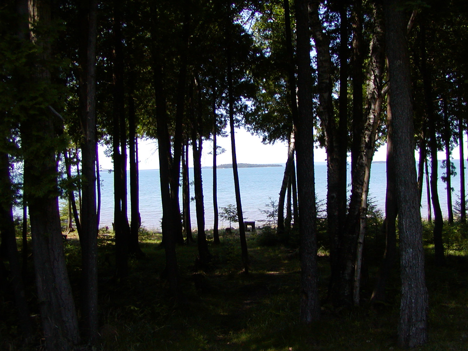 P1010045