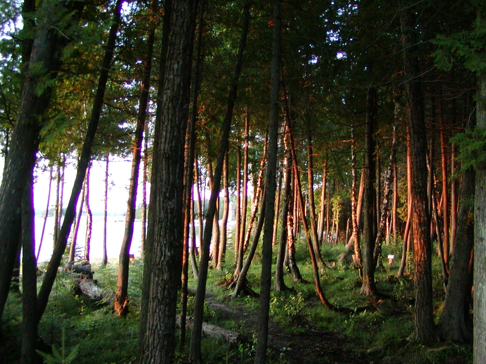 P1010056