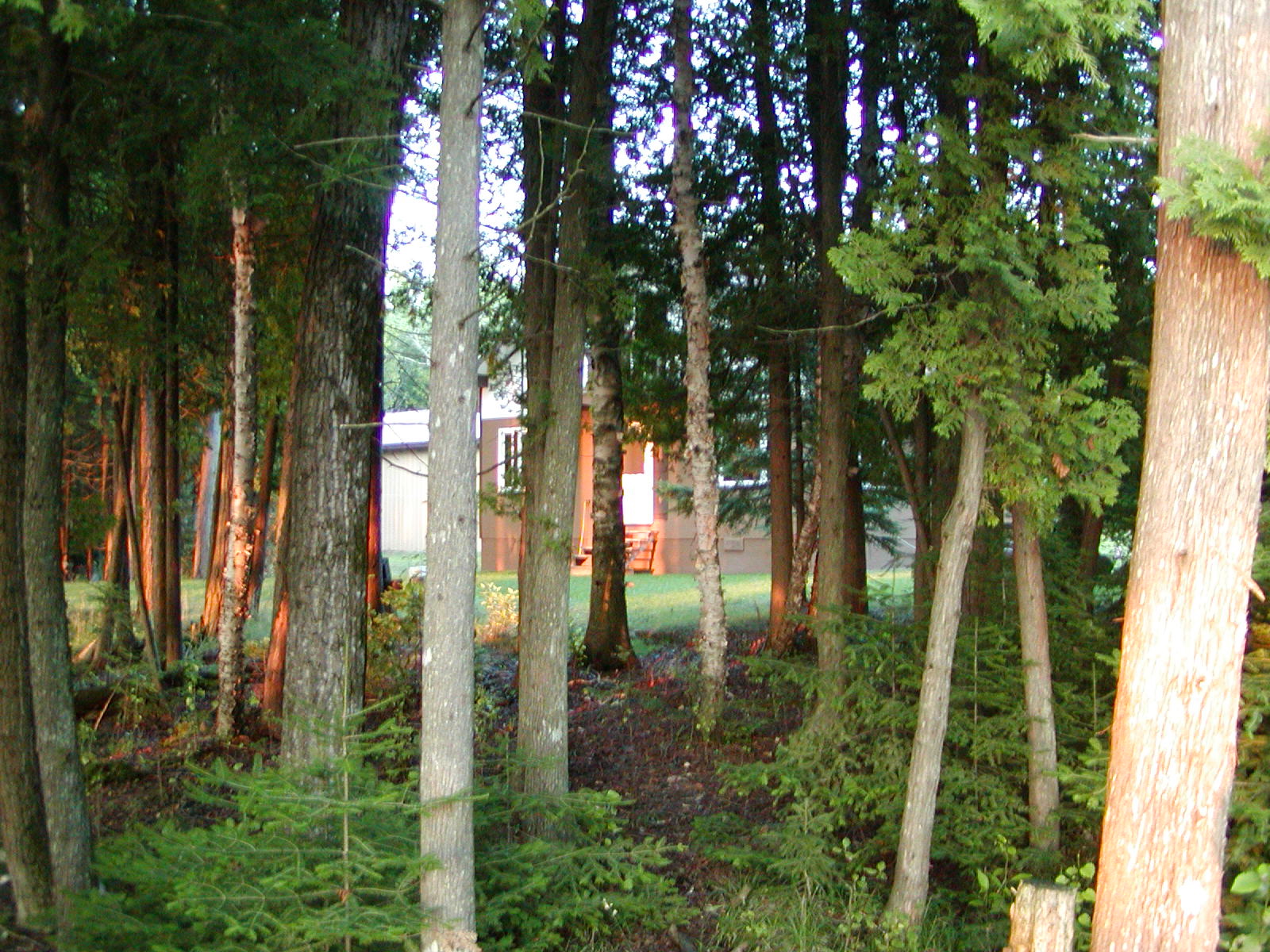 P1010057