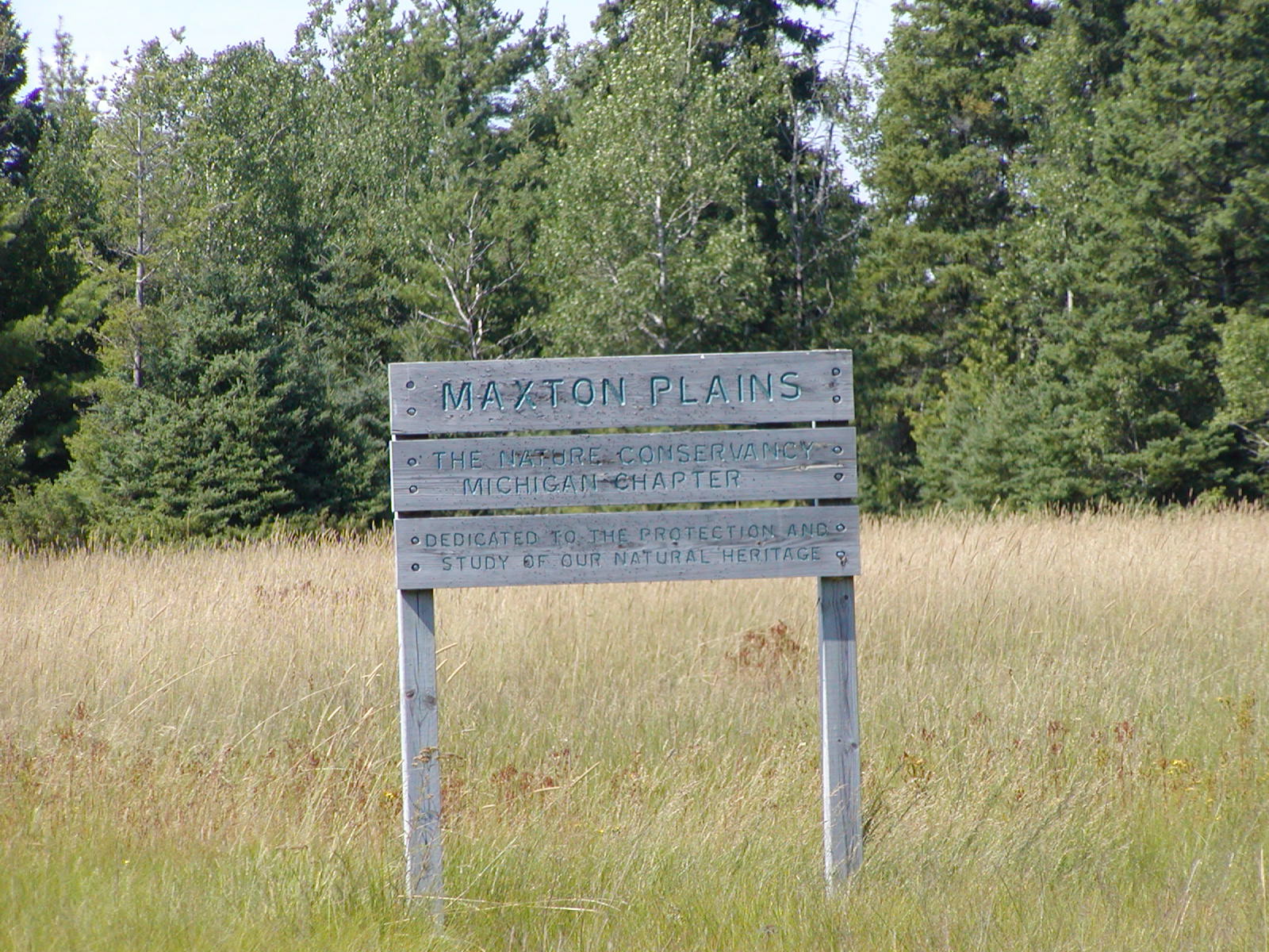 P1010078