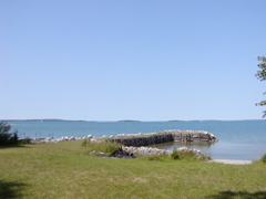 P1010001