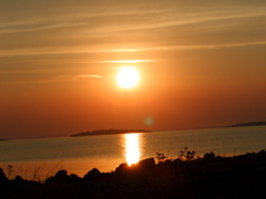 P1010102