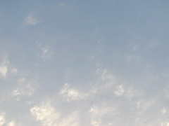 P1010114
