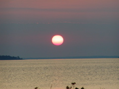 P1010125