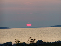 P1010132