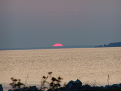 P1010138