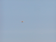 P1010015