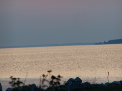 P1010142