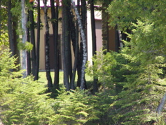 P1010016