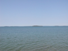 P1010020