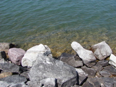 P1010028