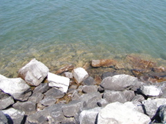 P1010029
