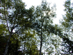 P1010033