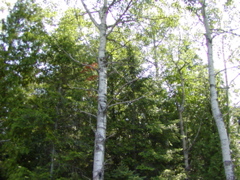 P1010034