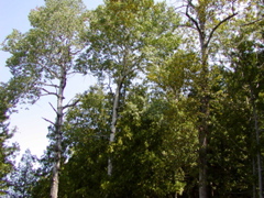 P1010035