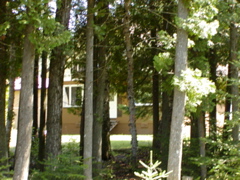 P1010036