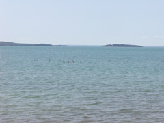 P1010040