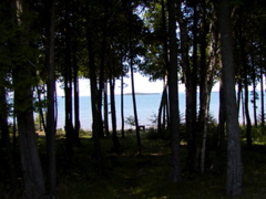 P1010045