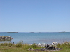 P1010006