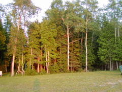 P1010054