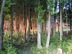 P1010055