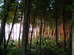 P1010056