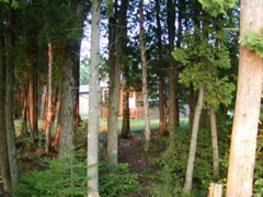 P1010057