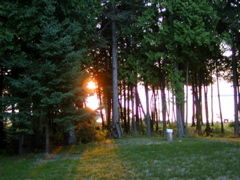 P1010058