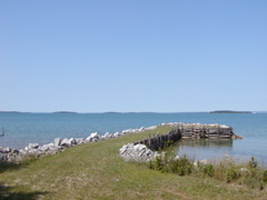 P1010007