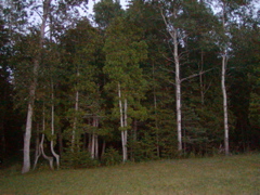 P1010069