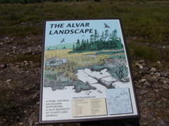 P1010072