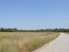P1010075