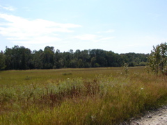 P1010076