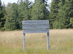 P1010078