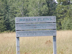 P1010079