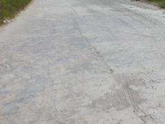 P1010080
