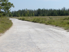 P1010081