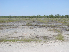 P1010083