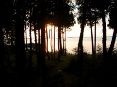 P1010084