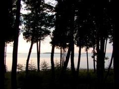 P1010085