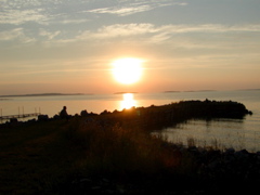 P1010091