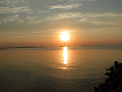 P1010094