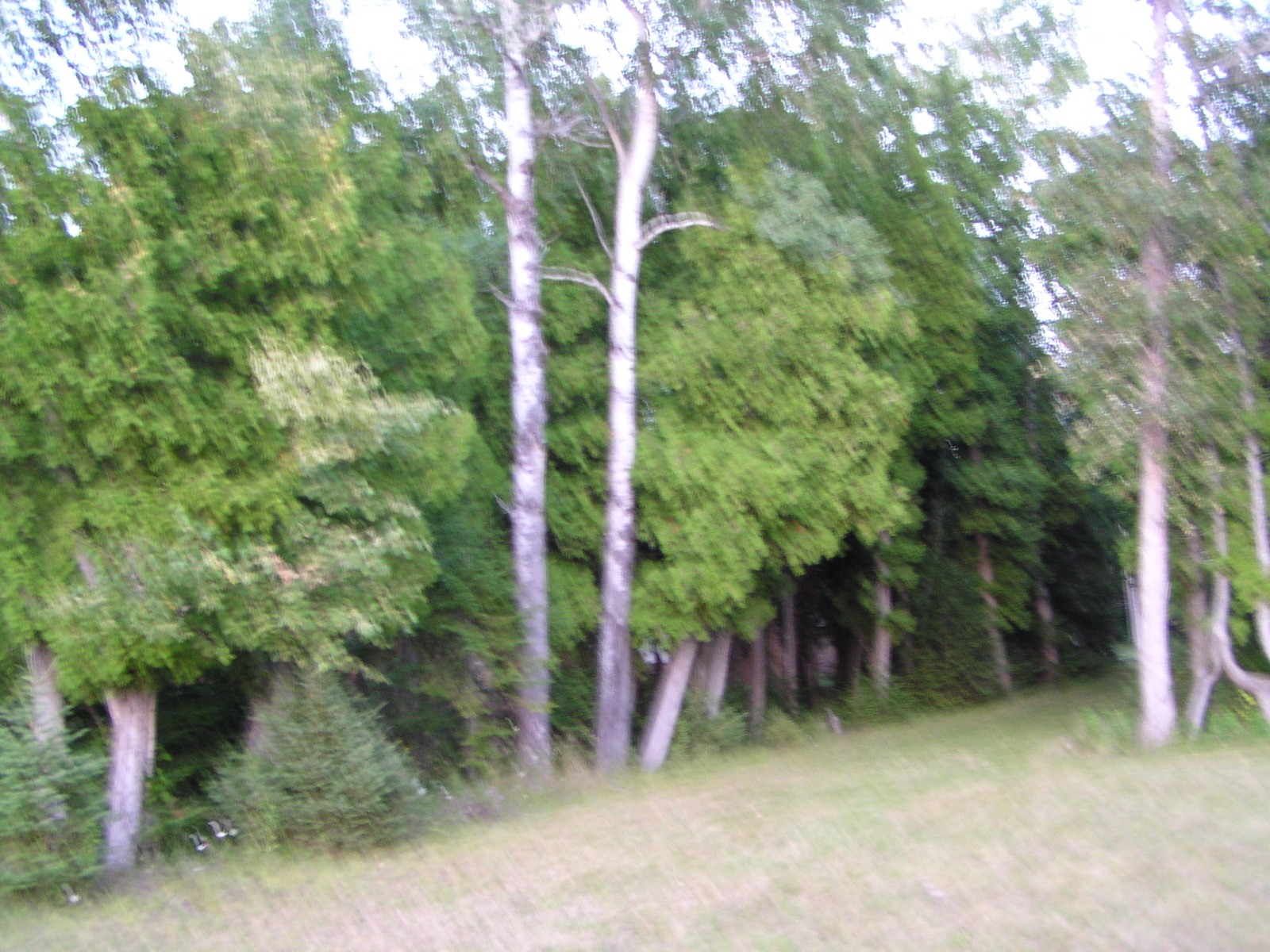 P8140220